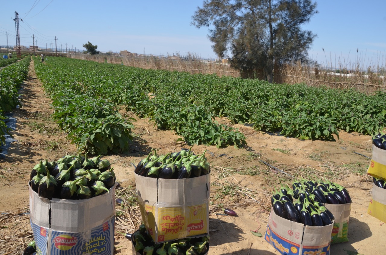 BB769EE9-C902-4DC8-9164-ED449DCC83A5