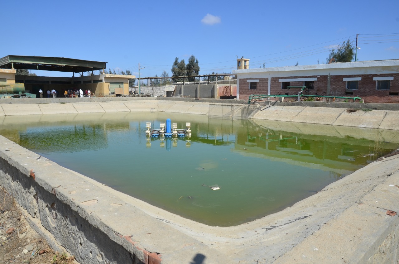 CE2F41AE-4BE7-4C25-8259-CF664523496A