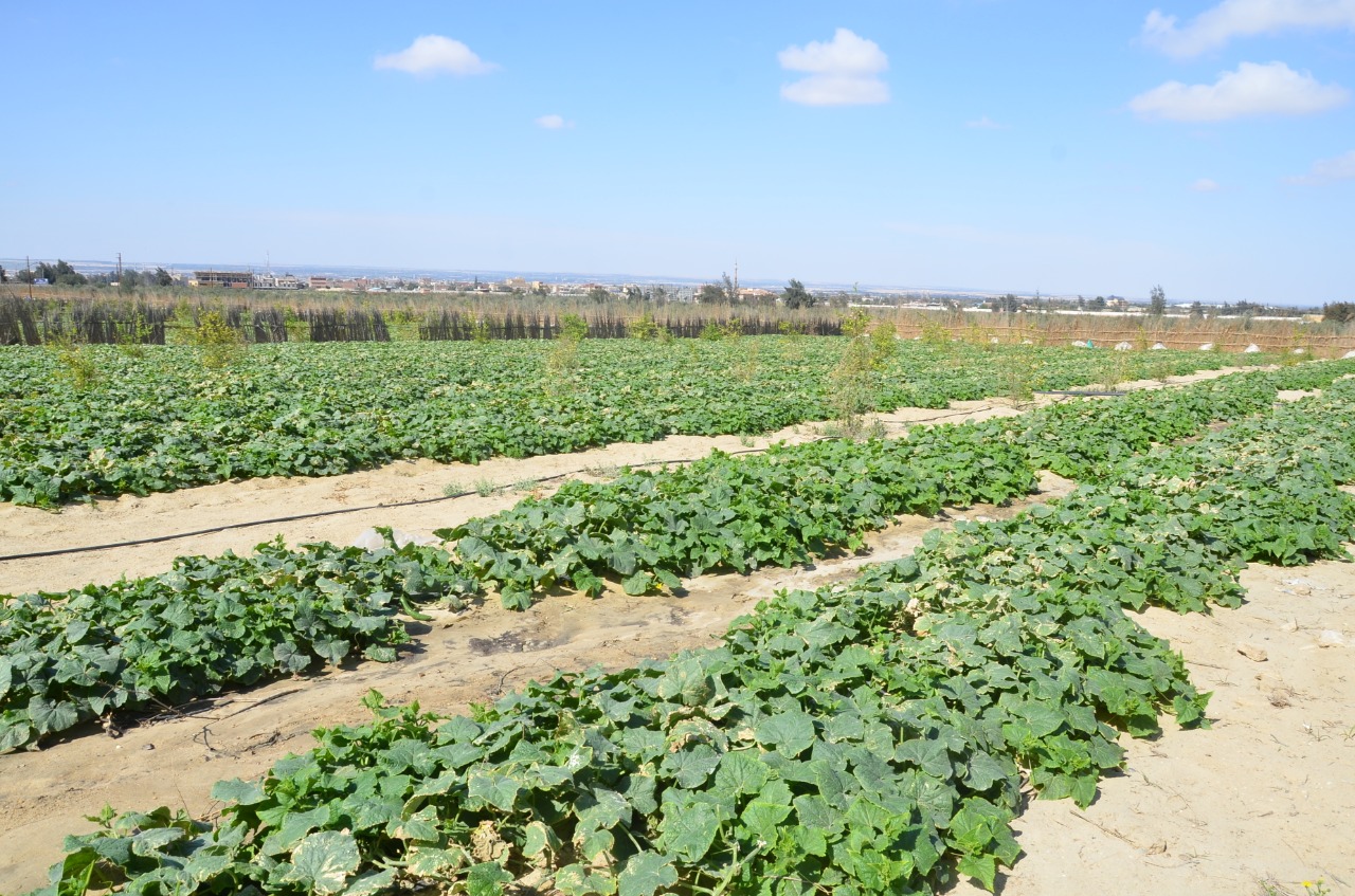 1C8F5AAF-FCAE-4A80-974A-FD5BDA903052