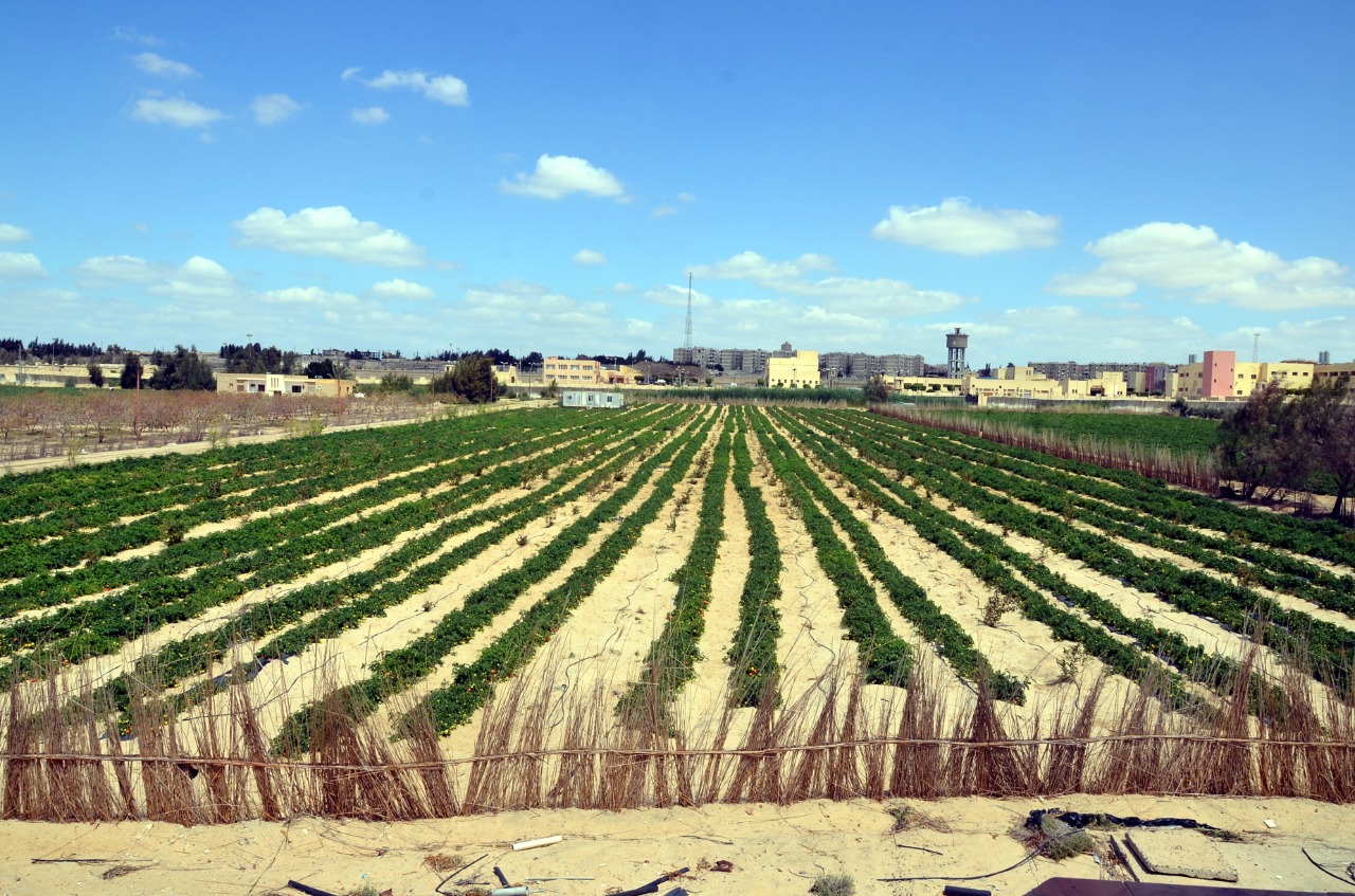 210655CC-C9D7-4FE4-ABCD-3E491CE7A527