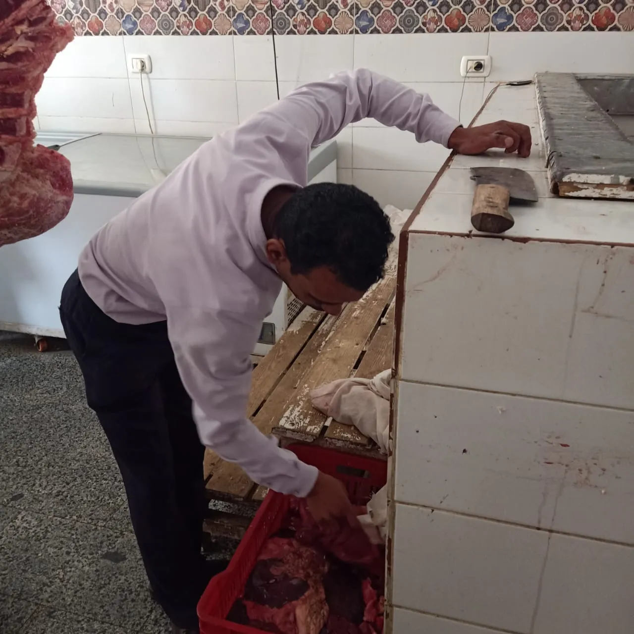 جانب من�الحملة 