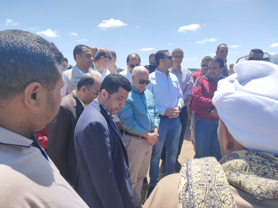 حصاد القمح في بورسعيد 