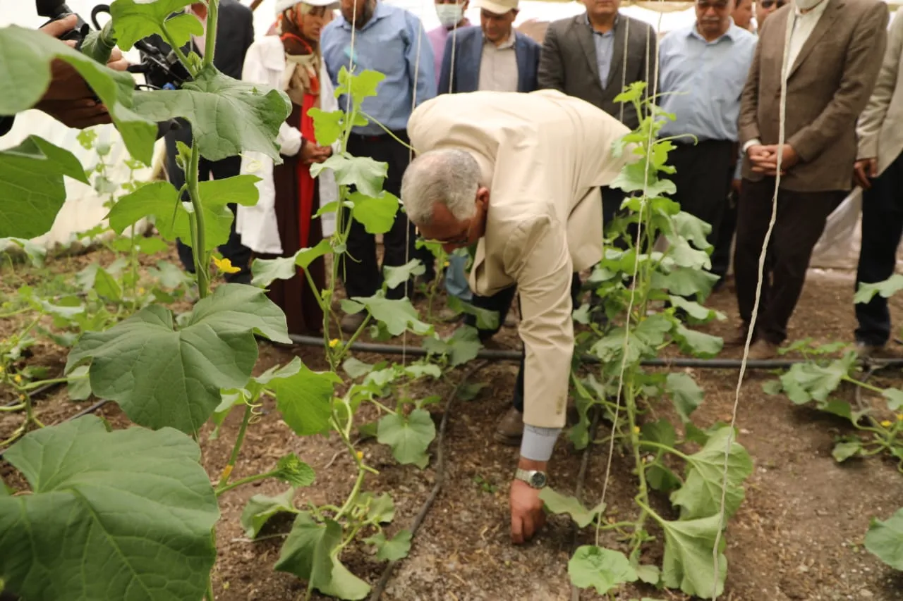 جانب من الجولة