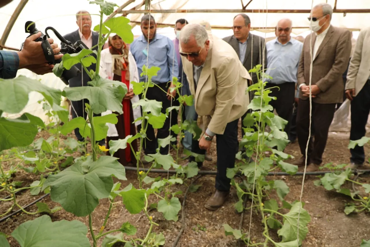 جانب من الجولة