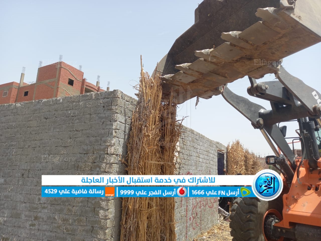 جانب من الإزالة