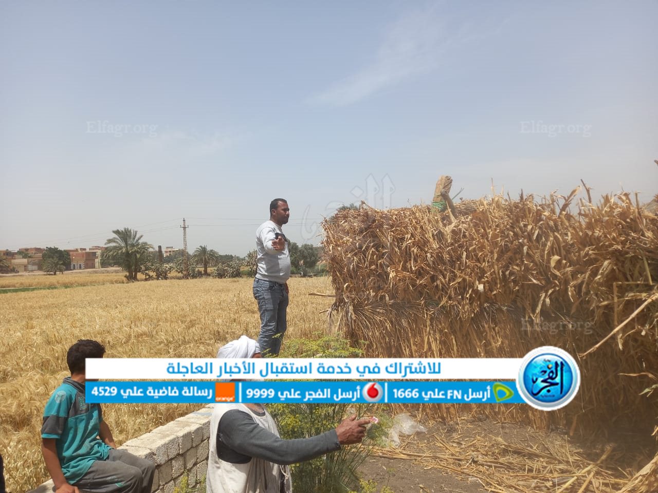 جانب من الإزالة