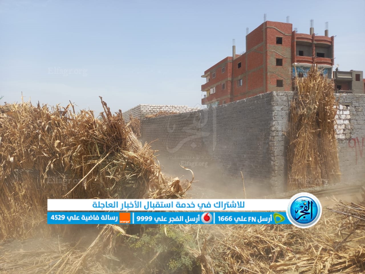 جانب من الإزالة