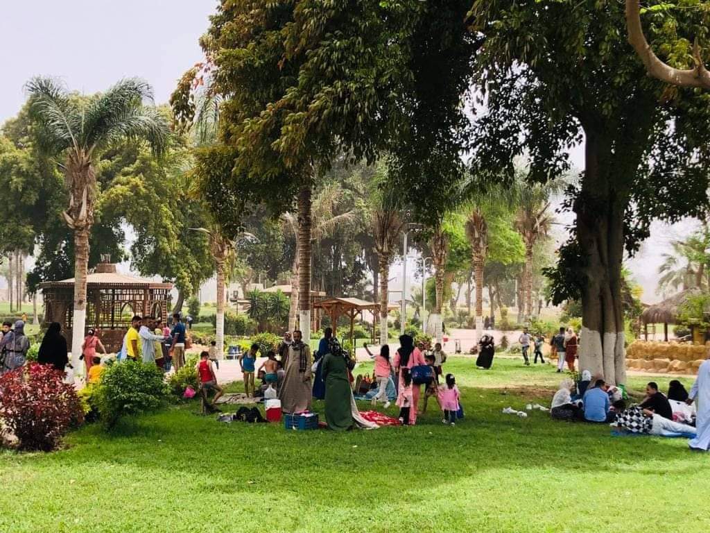 received_344937734399297