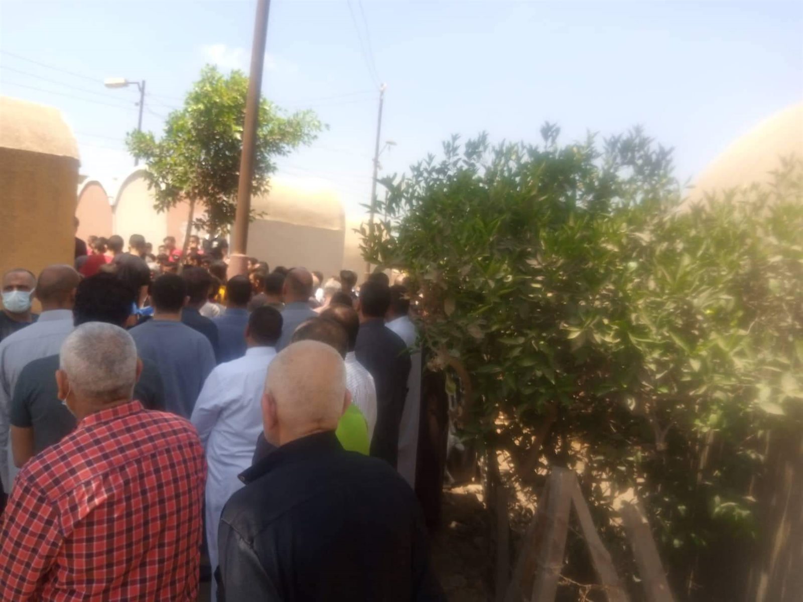 received_3164271950498226