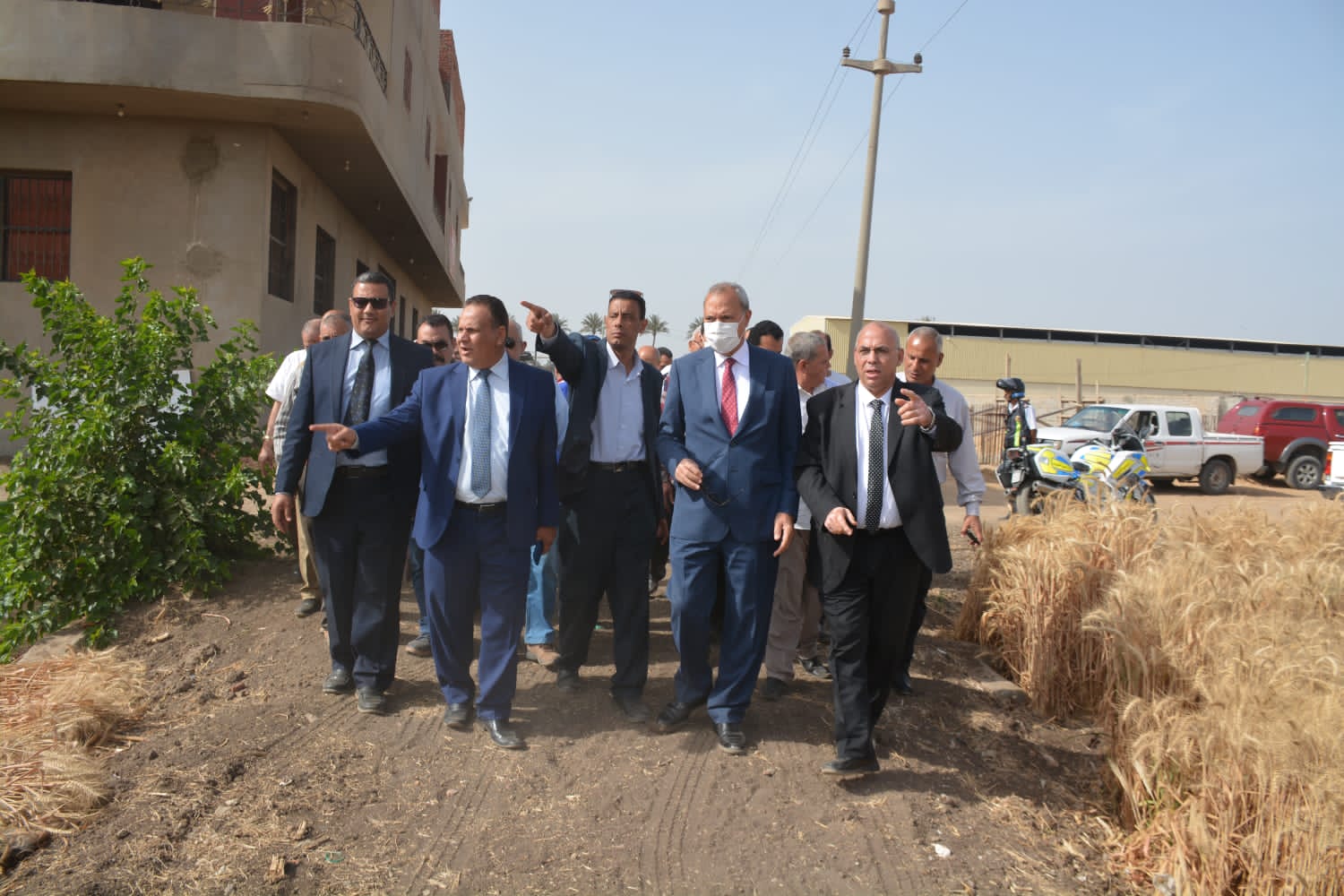 توريد القمح