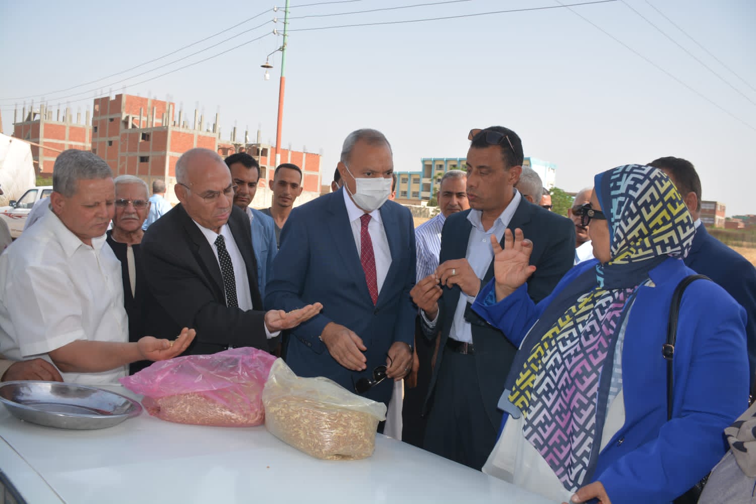 توريد القمح