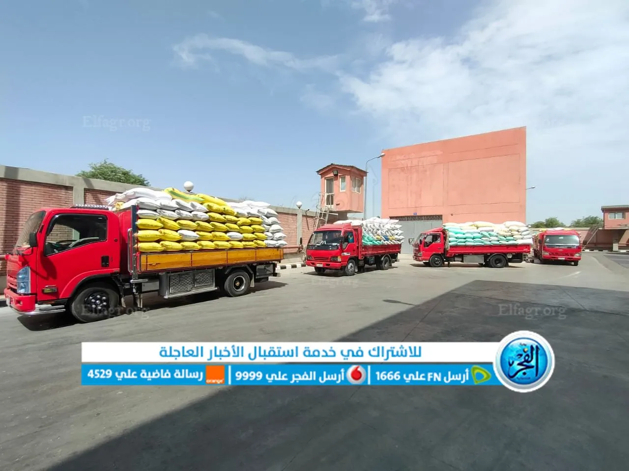 توريد القمح لشون وصوامع البحيرة