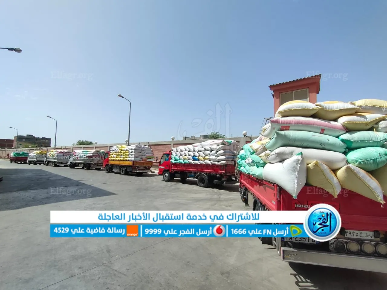 توريد القمح لشون وصوامع البحيرة