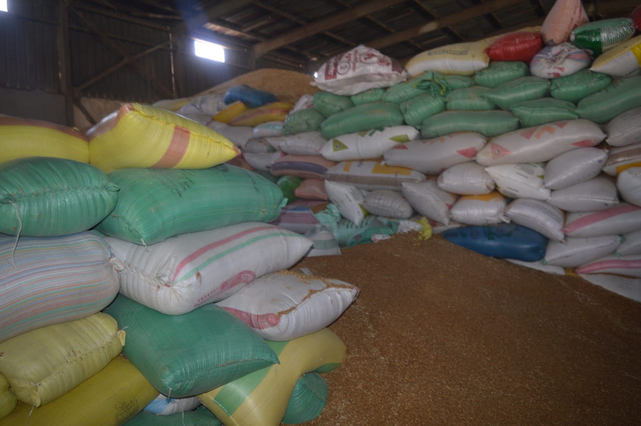 محافظ بورسعيد يشيد بجهود المزارعين