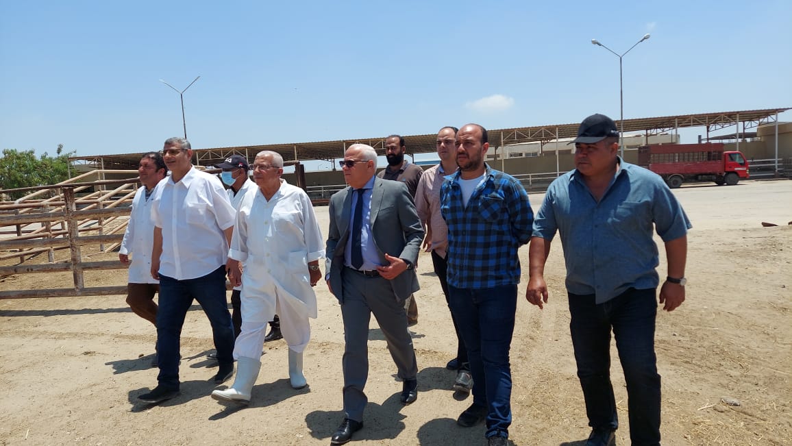 الغشبان يتفقد المجازر وإحدى مزارع الأبقار ببورسعيد
