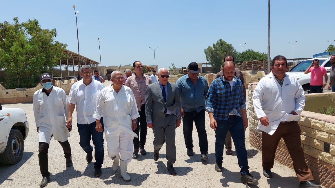 الغشبان يتفقد المجازر وإحدى مزارع الأبقار ببورسعيد