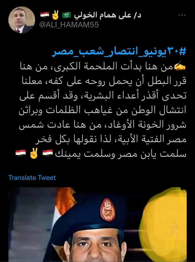 ثورة 30 يونيو