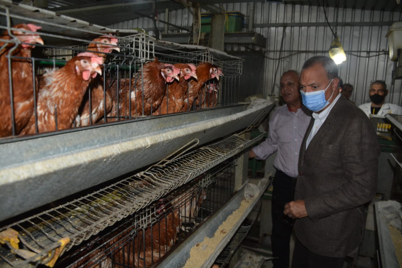 e41e5f5f-4de7-4b7f-a450-8a63bb080f6e