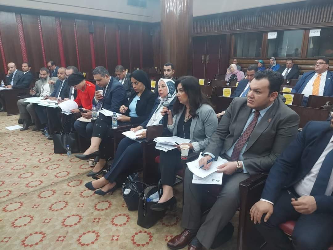 نواب تنسيقية شباب الأحزاب والسياسيين 