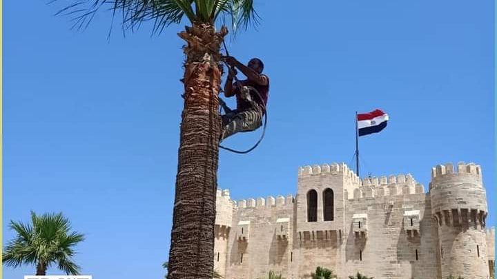 المتاحف