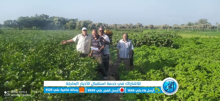 وكيل زراعة الفيوم