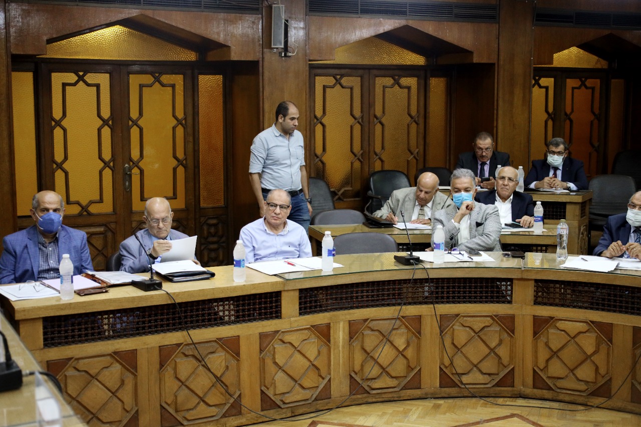 جانب من فاعليات اللقاء 