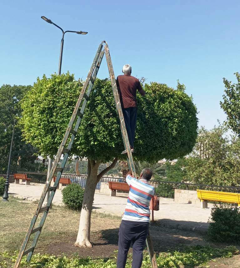 استعدادات محافظة أسوان للموسم السياحى
