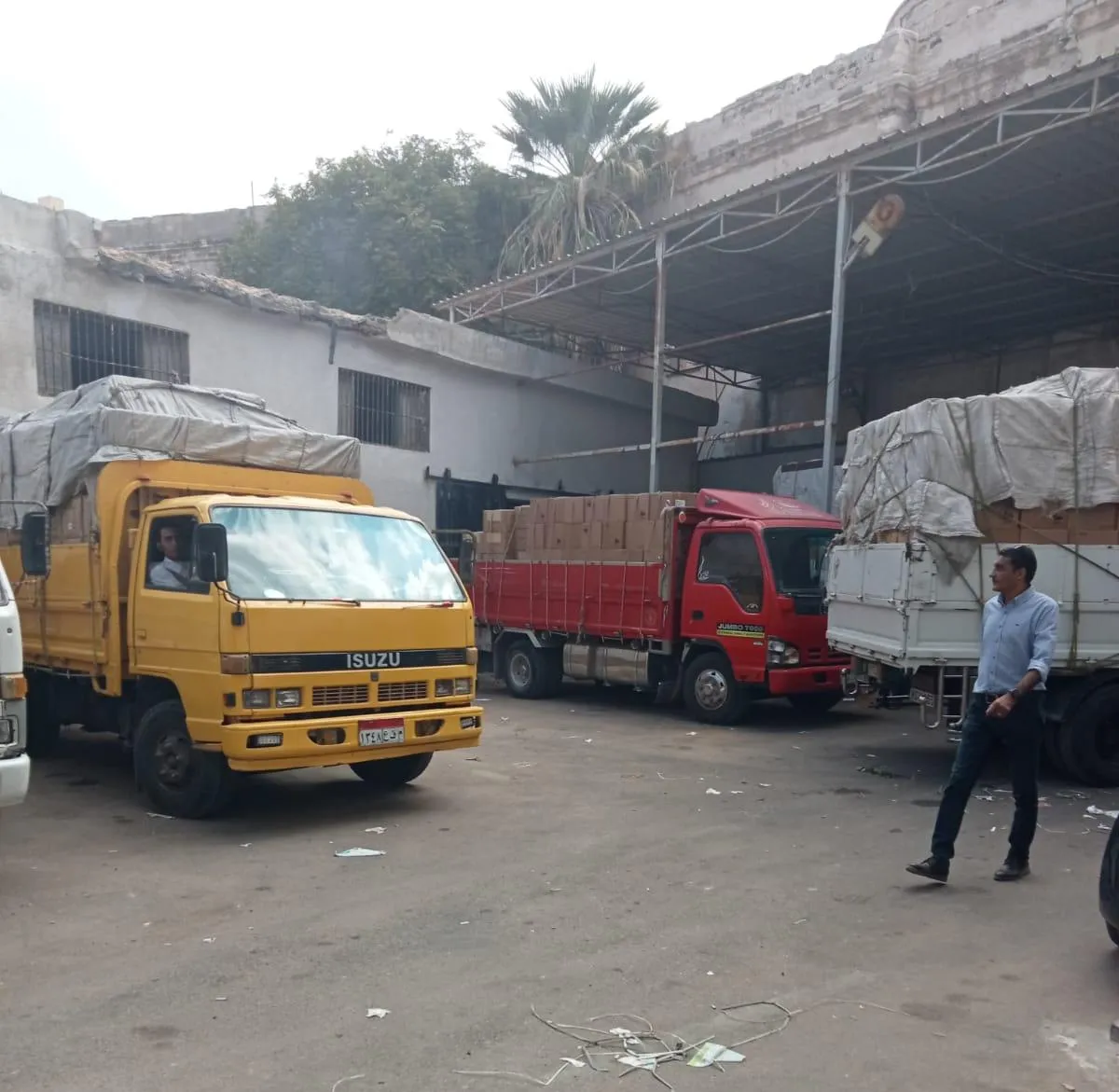 inbound3889109847635110654