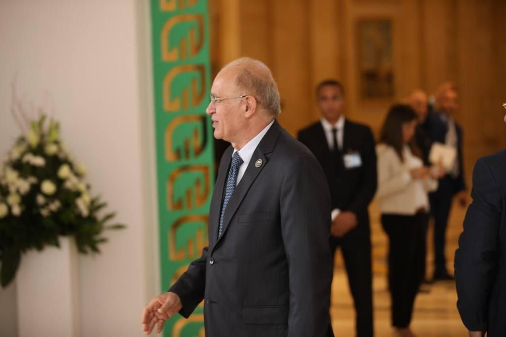 حضور المؤتمر (19)