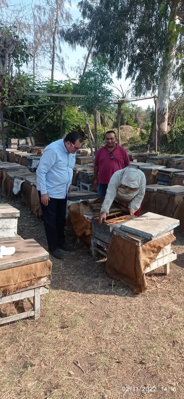 312522072_422006660120498_4323511764582769877_n