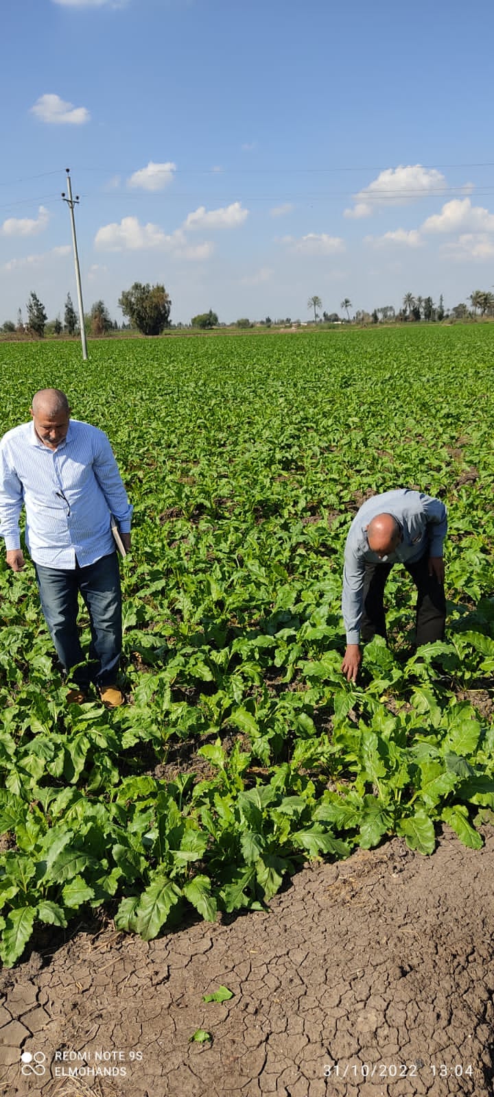 313400668_426477139673450_7058134480008794433_n