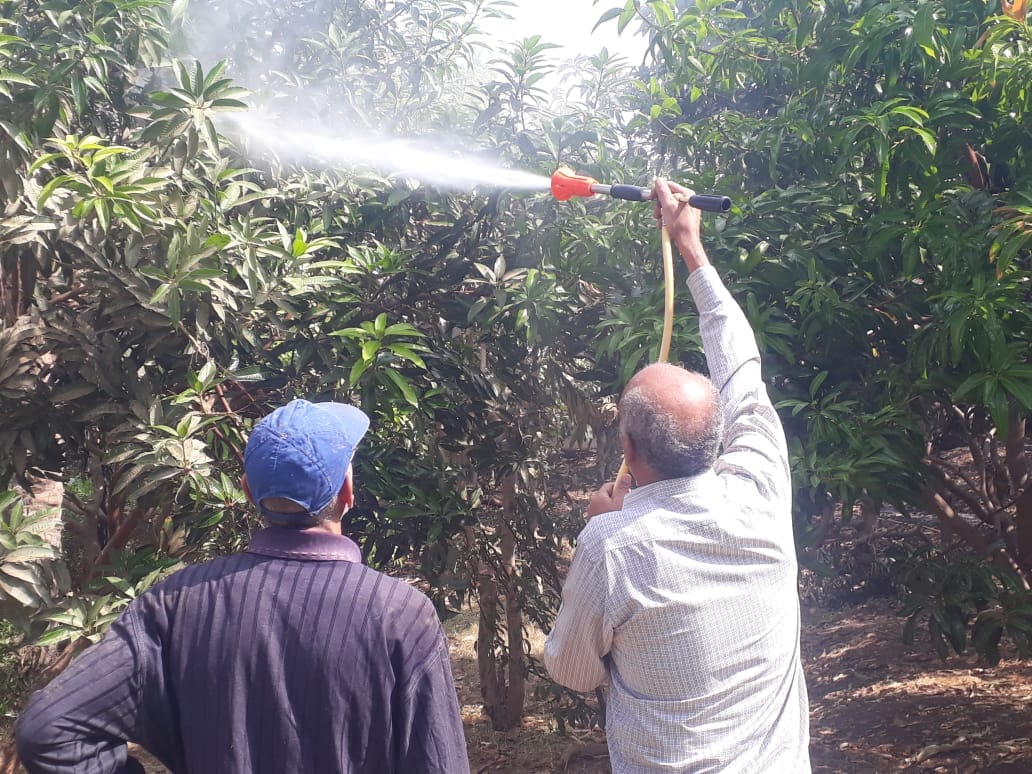 313433820_426477319673432_1348000902504485490_n