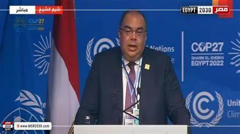 محمود محيي الدين