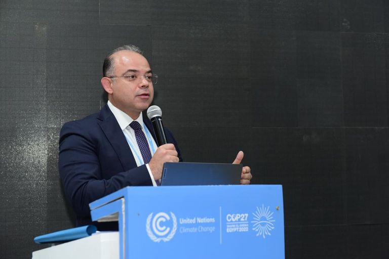 محمد فريد، رئيس الهيئة العامة للرقابة المالية في مصر