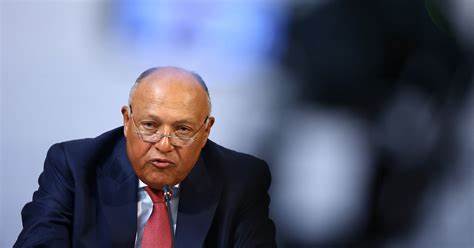 سامح شكري وزير الخارجية المصري