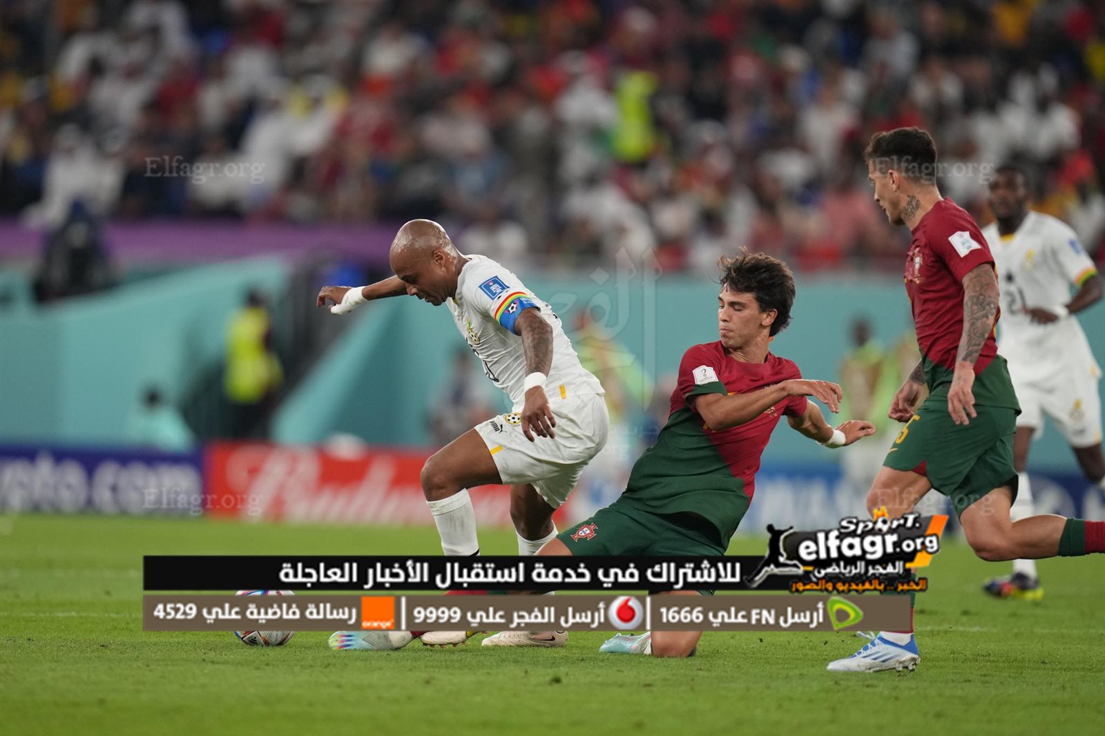 316638565_1562654137519162_2190655796170508334_n