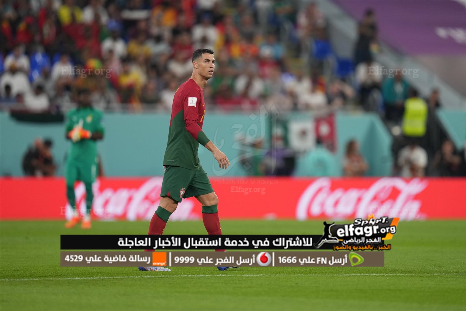 316786370_538599737765862_2504946730144006411_n