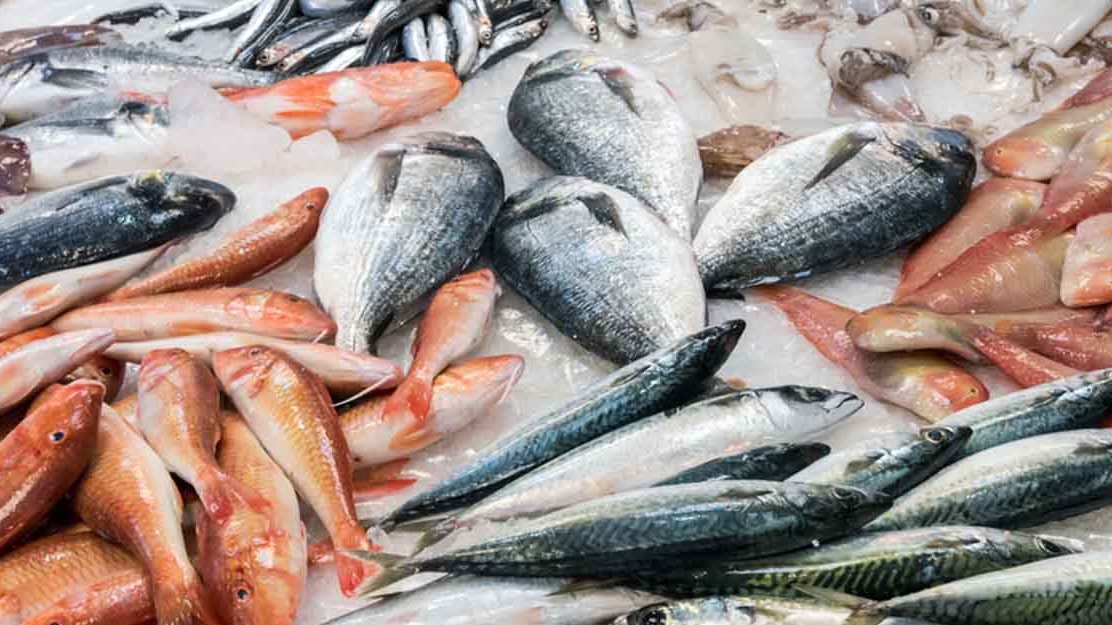 Ajman-Fish-Market-AR10012021