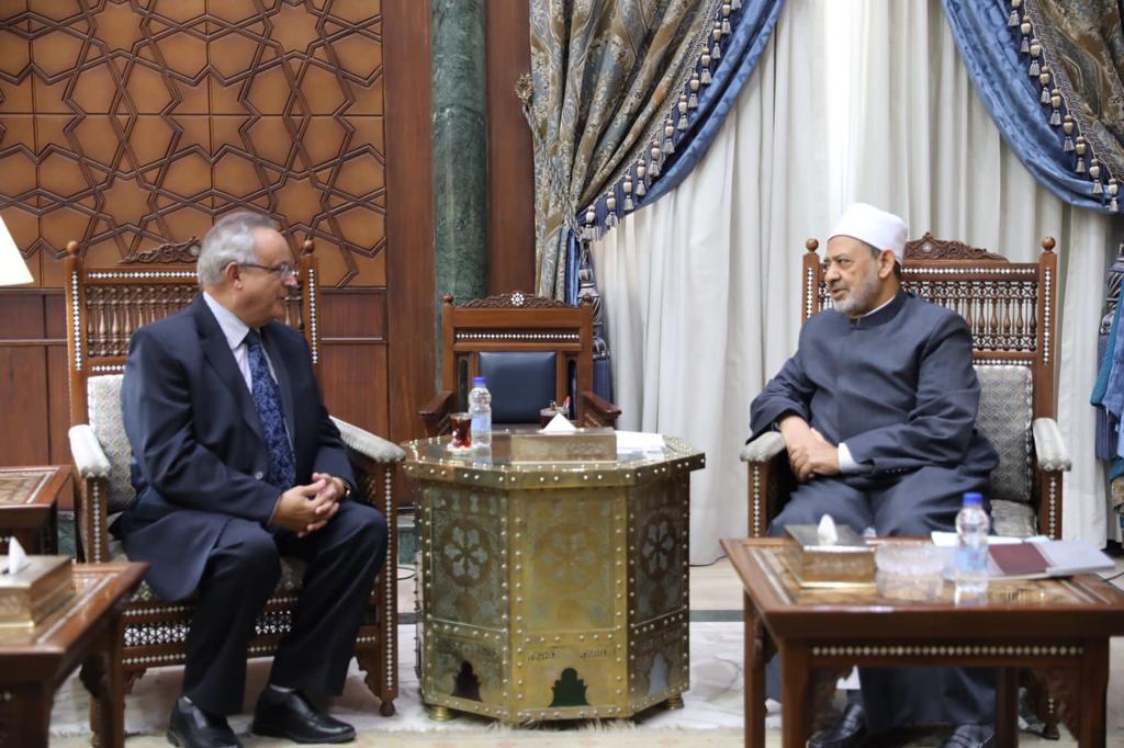 inbound6134244803038235125