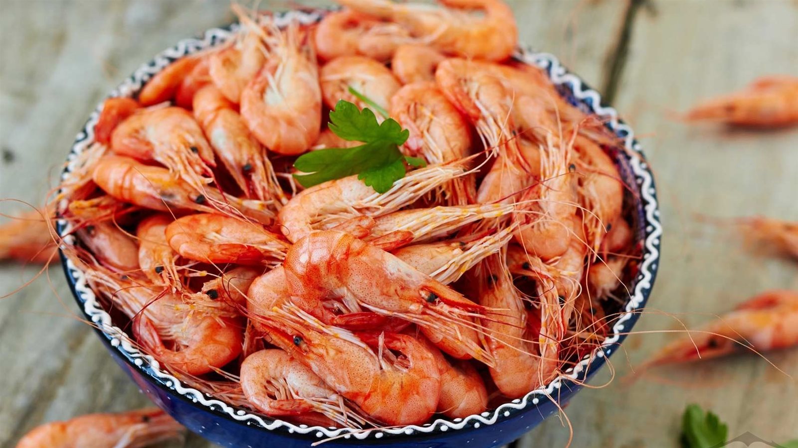 أسعار الجمبري بسوق العبور