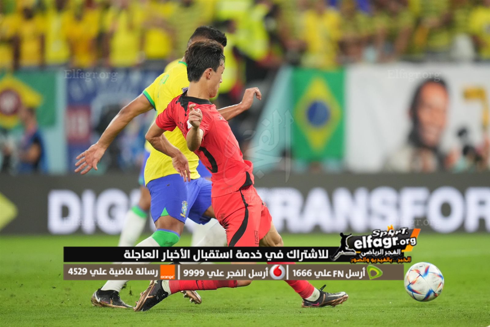 318233246_1212418736019690_6600215058144946124_n