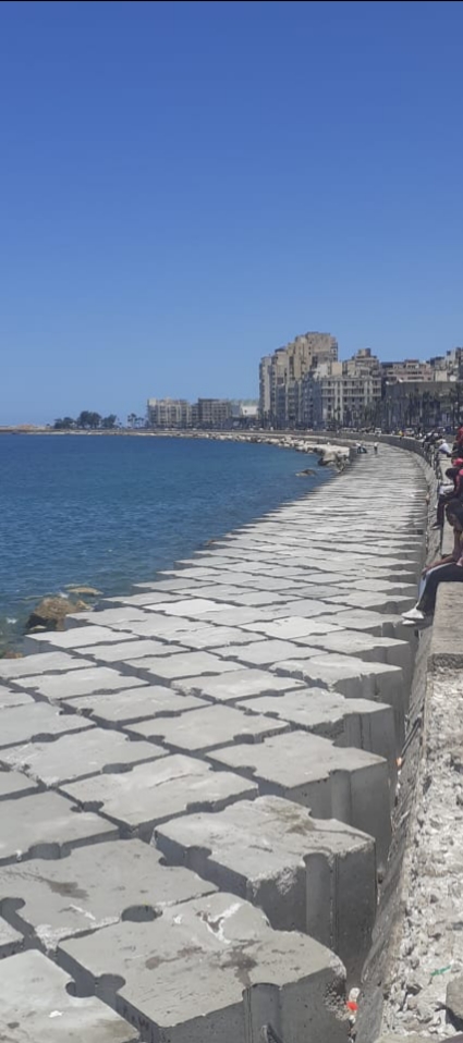مشروعات حماية الشواطئ بالإسكندرية 