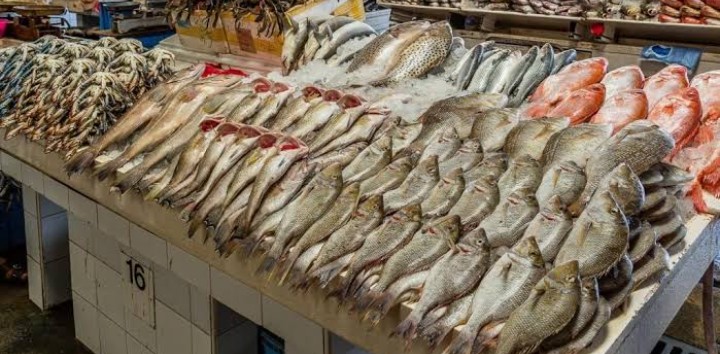 WhatsApp Image 2022-09-26 at 10.14.59 AM