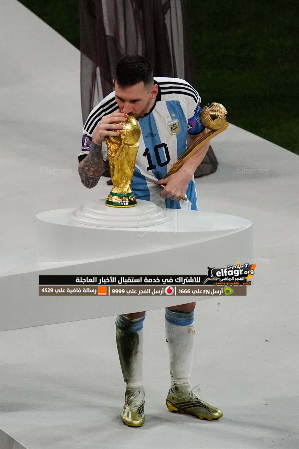 323358989_512911067576947_8579414260247535066_n