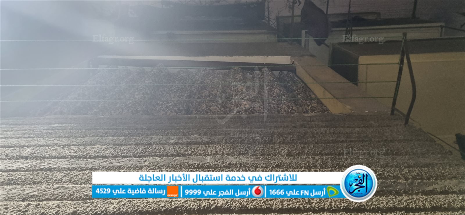 واقعة مقتل مدير الطب البيطري السابق