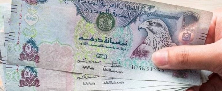 WhatsApp Image 2022-11-17 at 1.56.51 PM