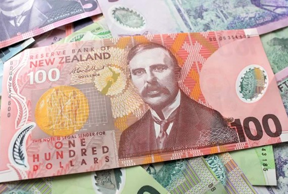 WhatsApp Image 2023-01-25 at 11.12.40 AM (2)