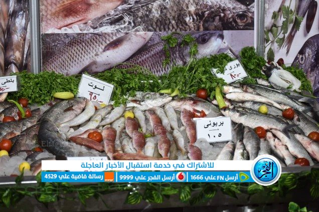 اسعار السمك اليوم