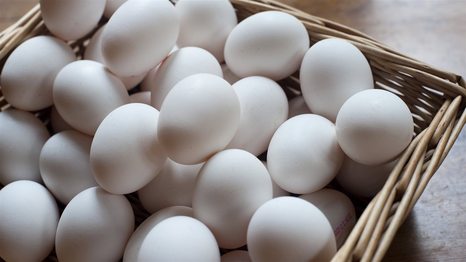 اسعار البيض