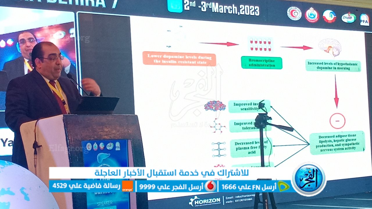 مؤتمر البحيرة للسكر